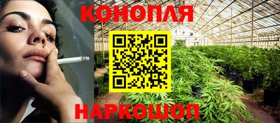гашик Нальчик