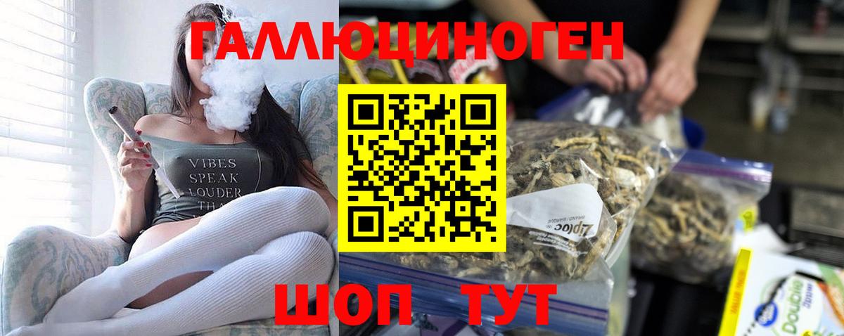 Псилоцибиновые грибы Psilocybine cubensis  Вход с VPN  Владимир 